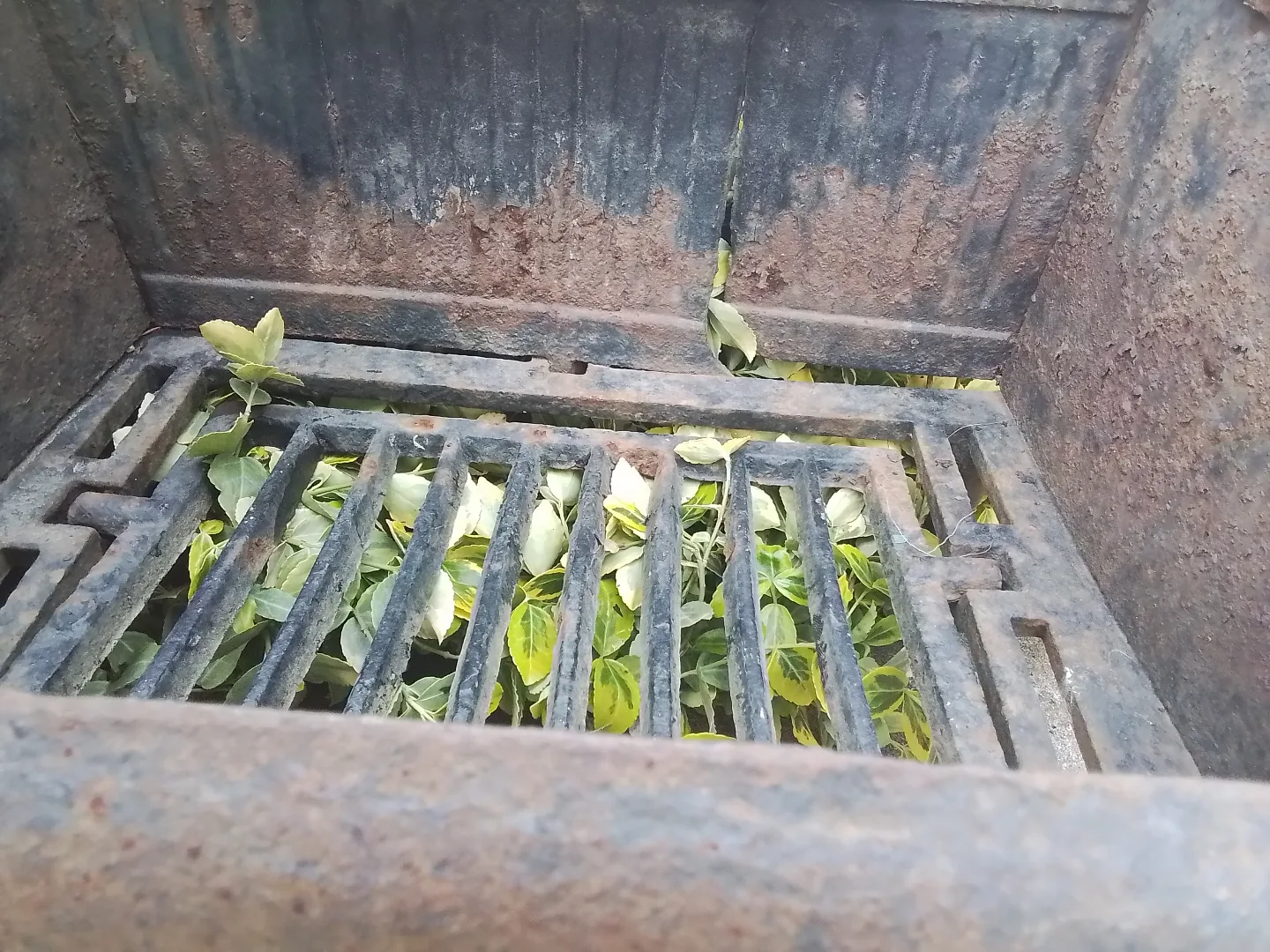 Antique Cast Iron Fireplace Grate/Flowers Pot image indicator(3)