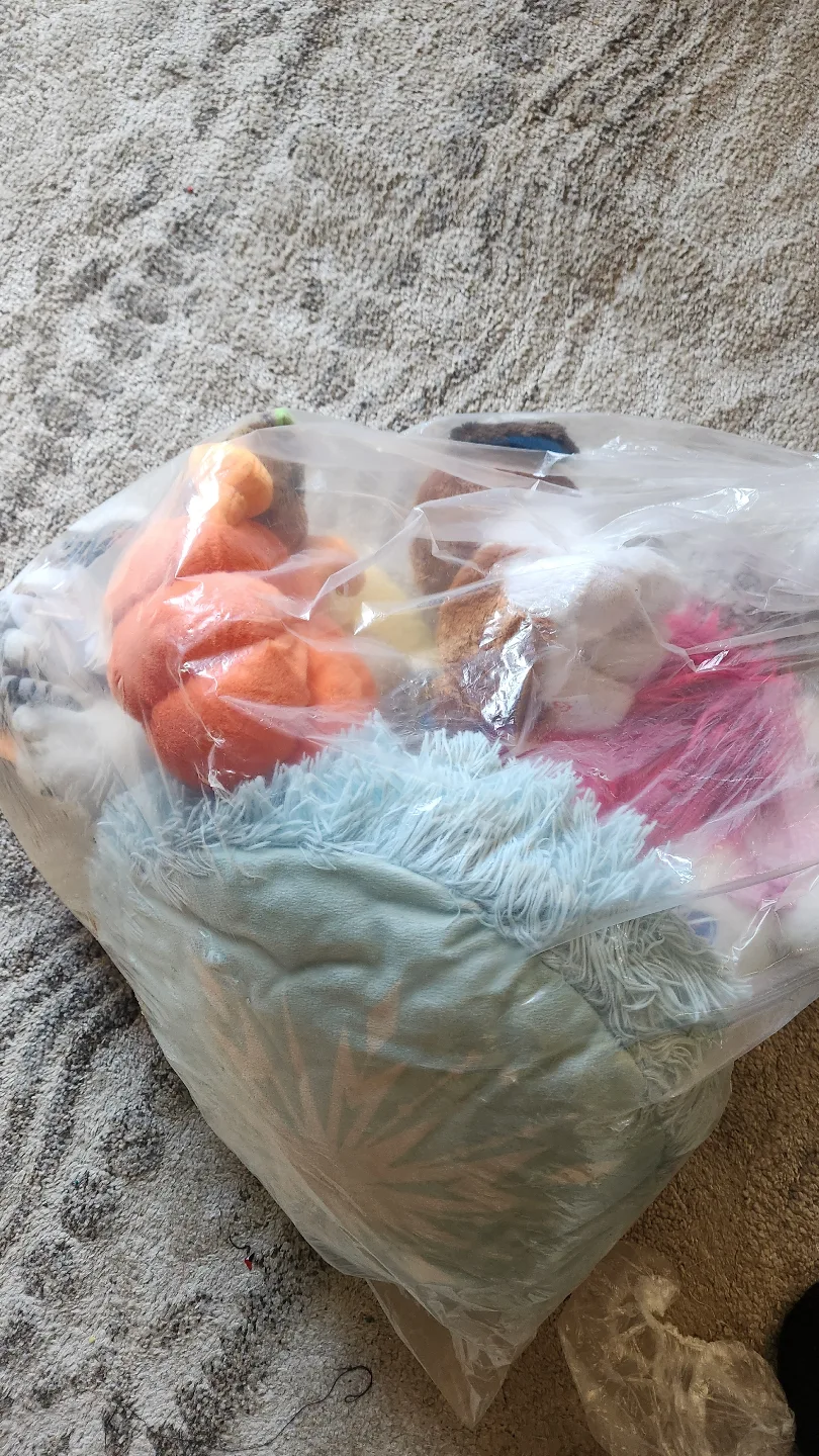 Huge Lot of Stuffed Animals and Plush Toys🏒 image indicator(2)