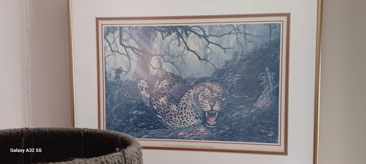 Framed Leopard Print by Larry Norton thumbnail