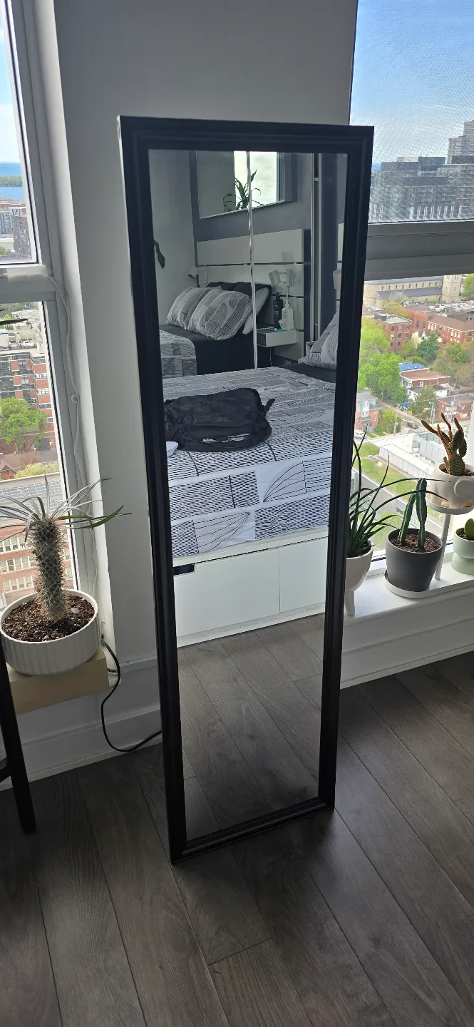 Full-Length Mirror with Black Frame thumbnail