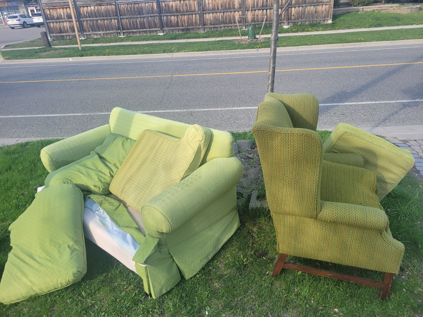 Pair of Green Upholstered Chairs 🤎