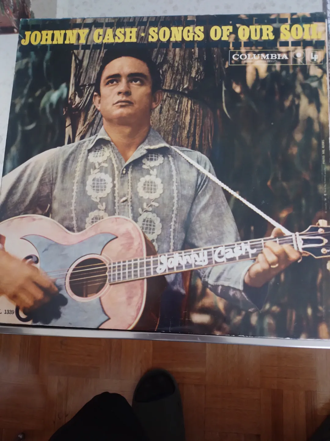 Vintage Vinyl Record image indicator(2)