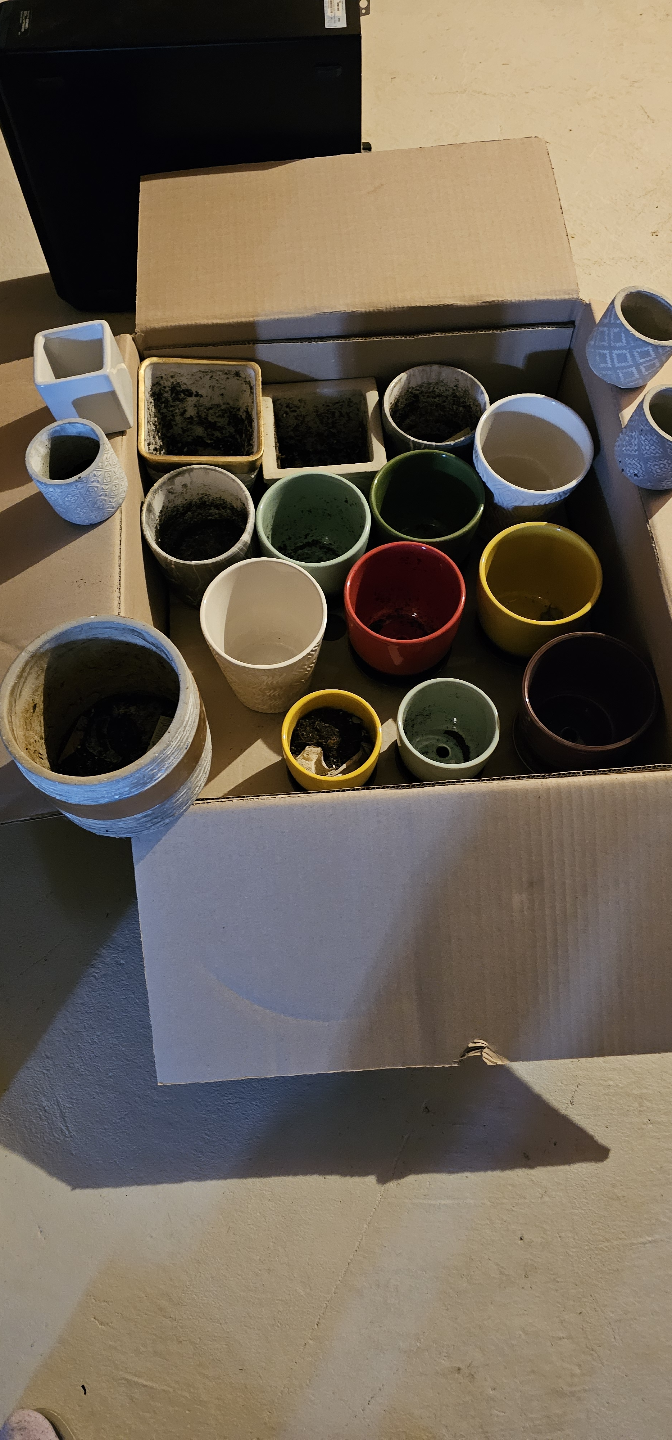 🧡Lot of ceramic planters