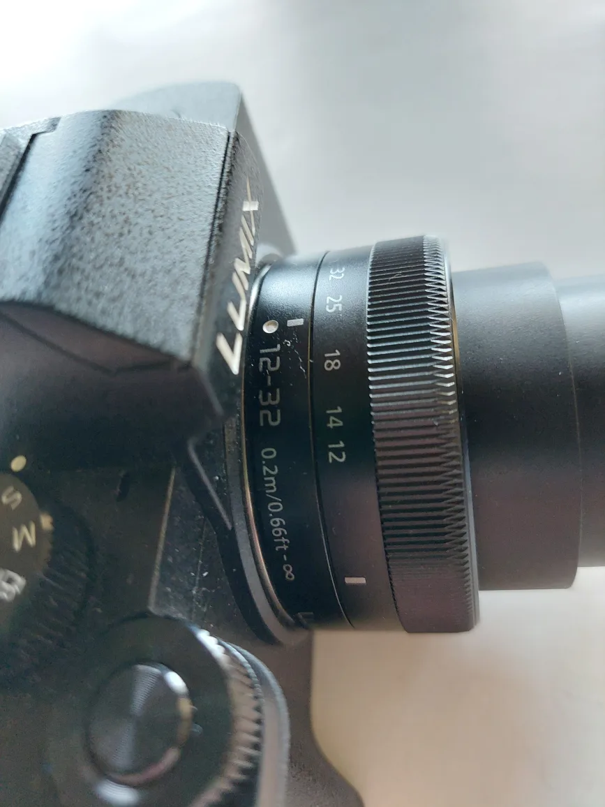 Panasonic Lumix G100 Mirrorless Camera image indicator(5)