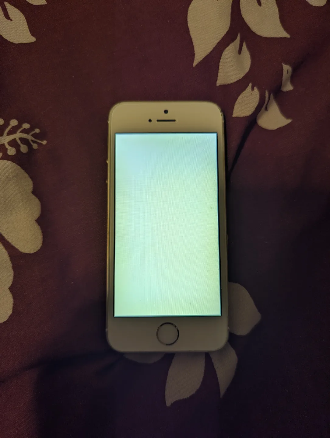 iPhone SE (1st Generation) - 16 GB - Gold (Read Description) image indicator(9)