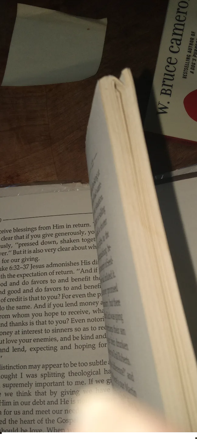 Ashes to Gold: Patti Roberts' Autobiography image indicator(8)