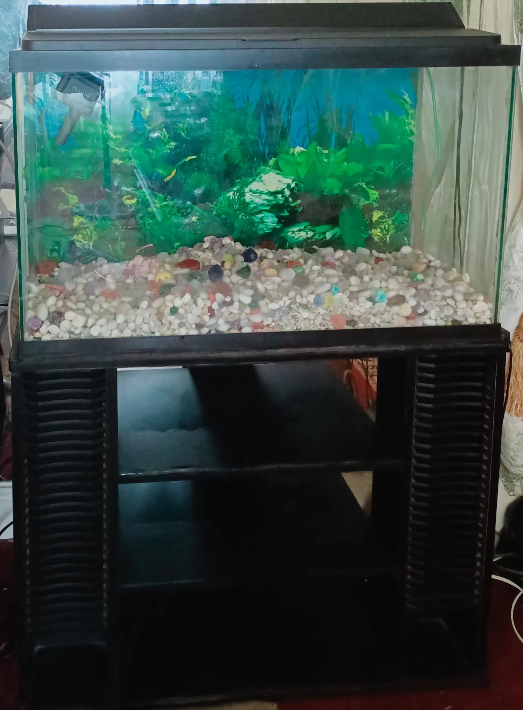 Fish Tank with Stand 🥕🌈🌈✨✨ thumbnail