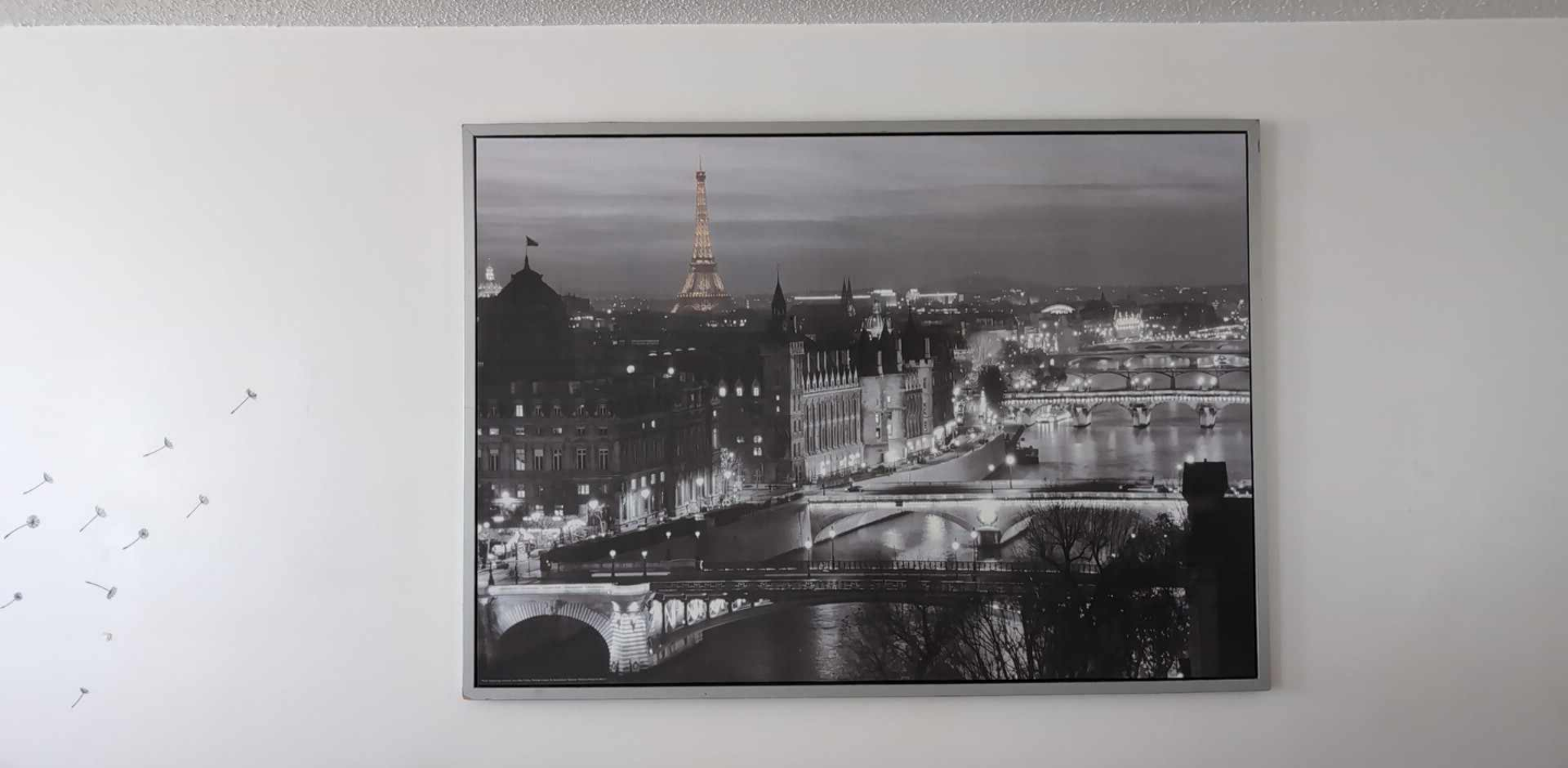 Paris Cityscape Framed Print