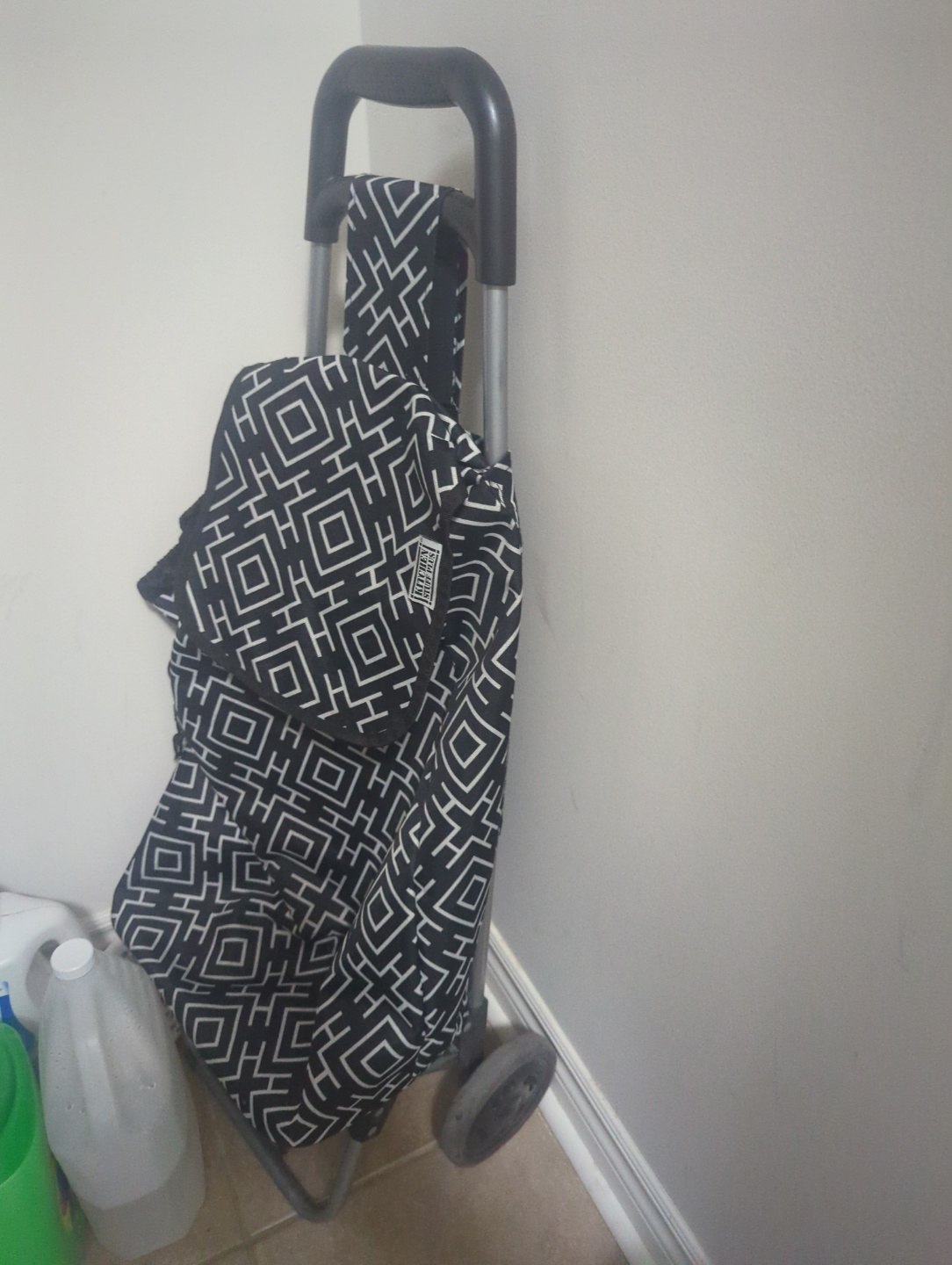 Shopping Cart with Geometric Pattern