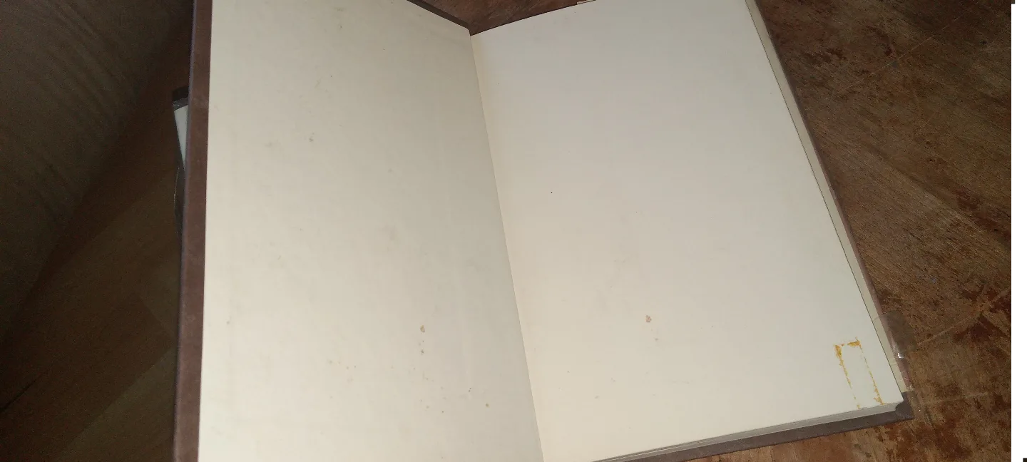 Ashes to Gold: Patti Roberts' Autobiography image indicator(6)