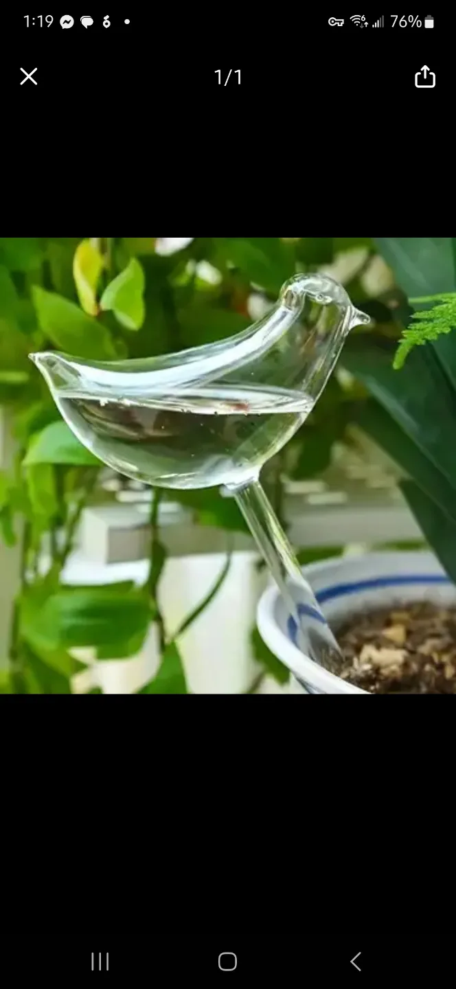 NEW 3x Self-Watering Bird Shaped Plant Waterers 💧 image indicator(2)