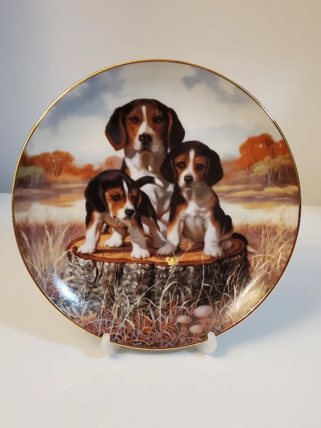 Jim Lamb's A Sporting Generation Collector Plates (Set of 5) image indicator(9)