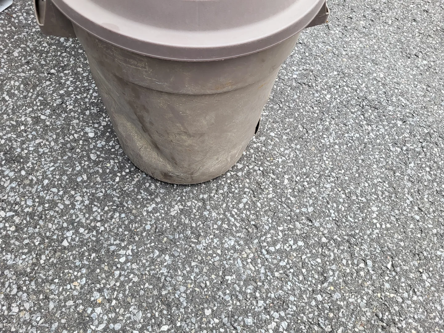Two Plastic Garbage Bins with Lids image indicator(3)