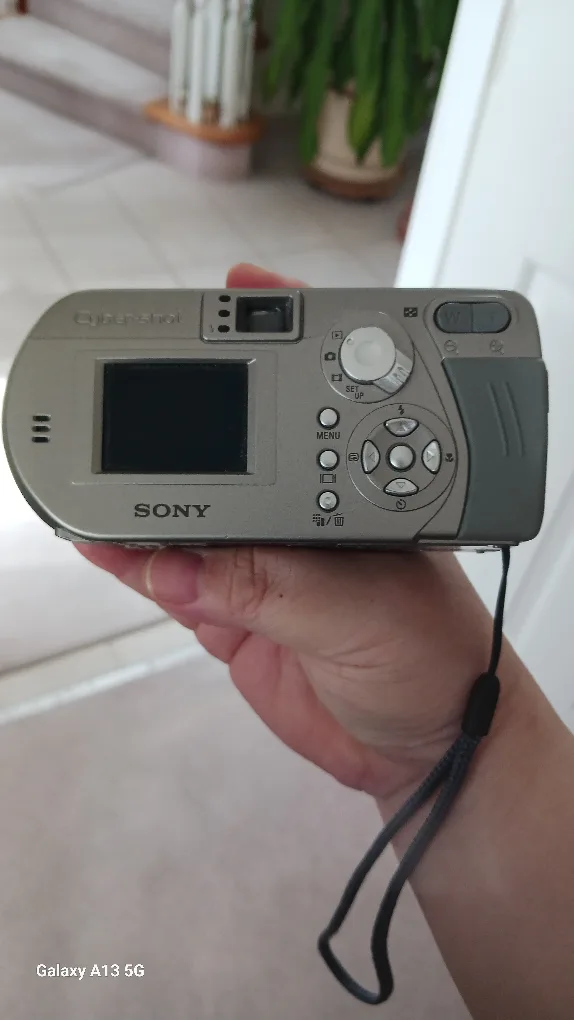 Sony Cyber-shot DSC-P92 Digital Camera image indicator(2)