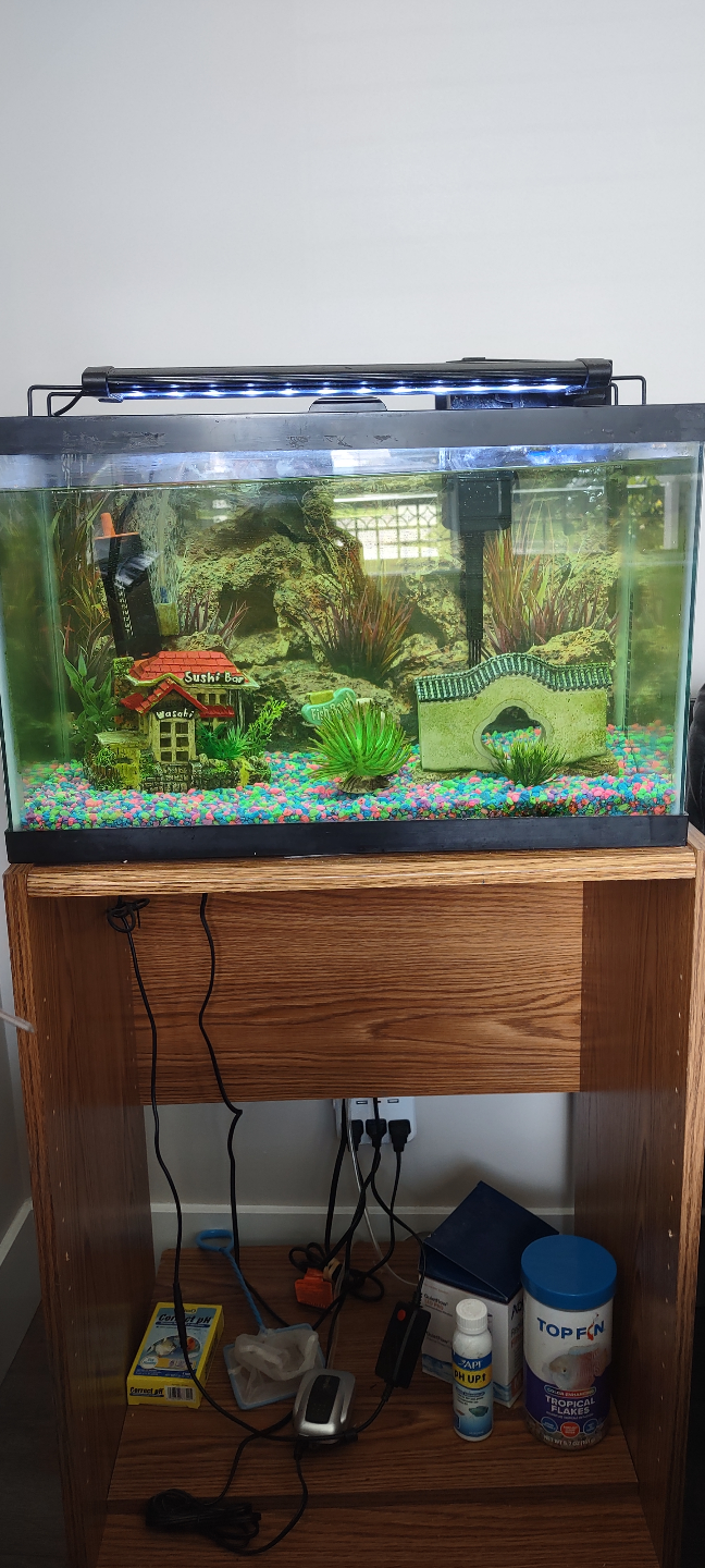 Complete aquarium setup with accessories - photo 2