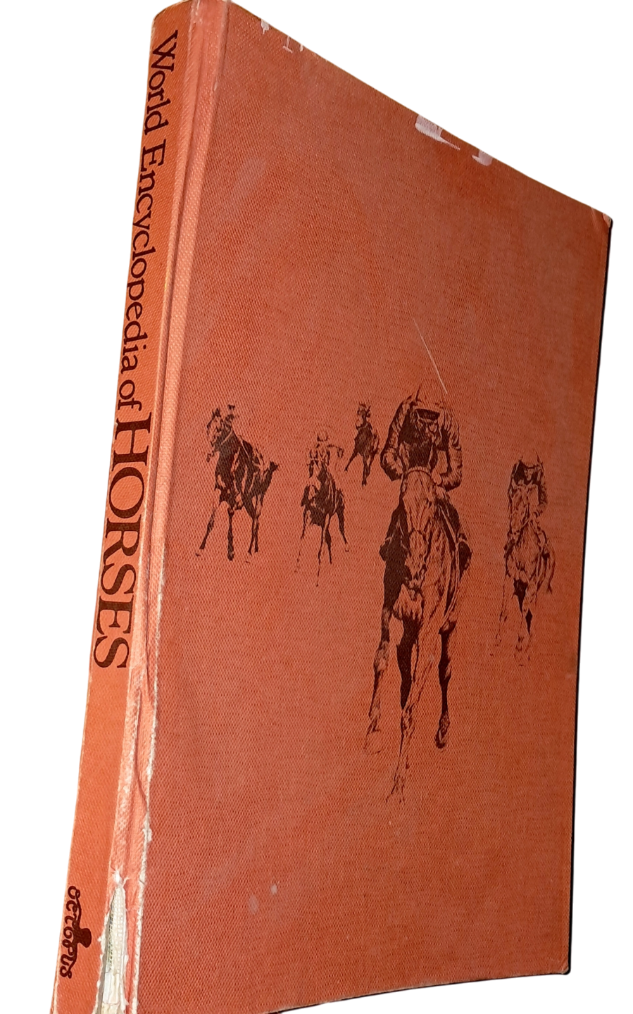 World Encyclopedia of Horses