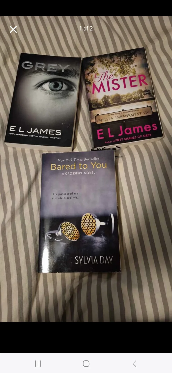 Three Romance Novels: Grey, The Mister, Bared to You thumbnail