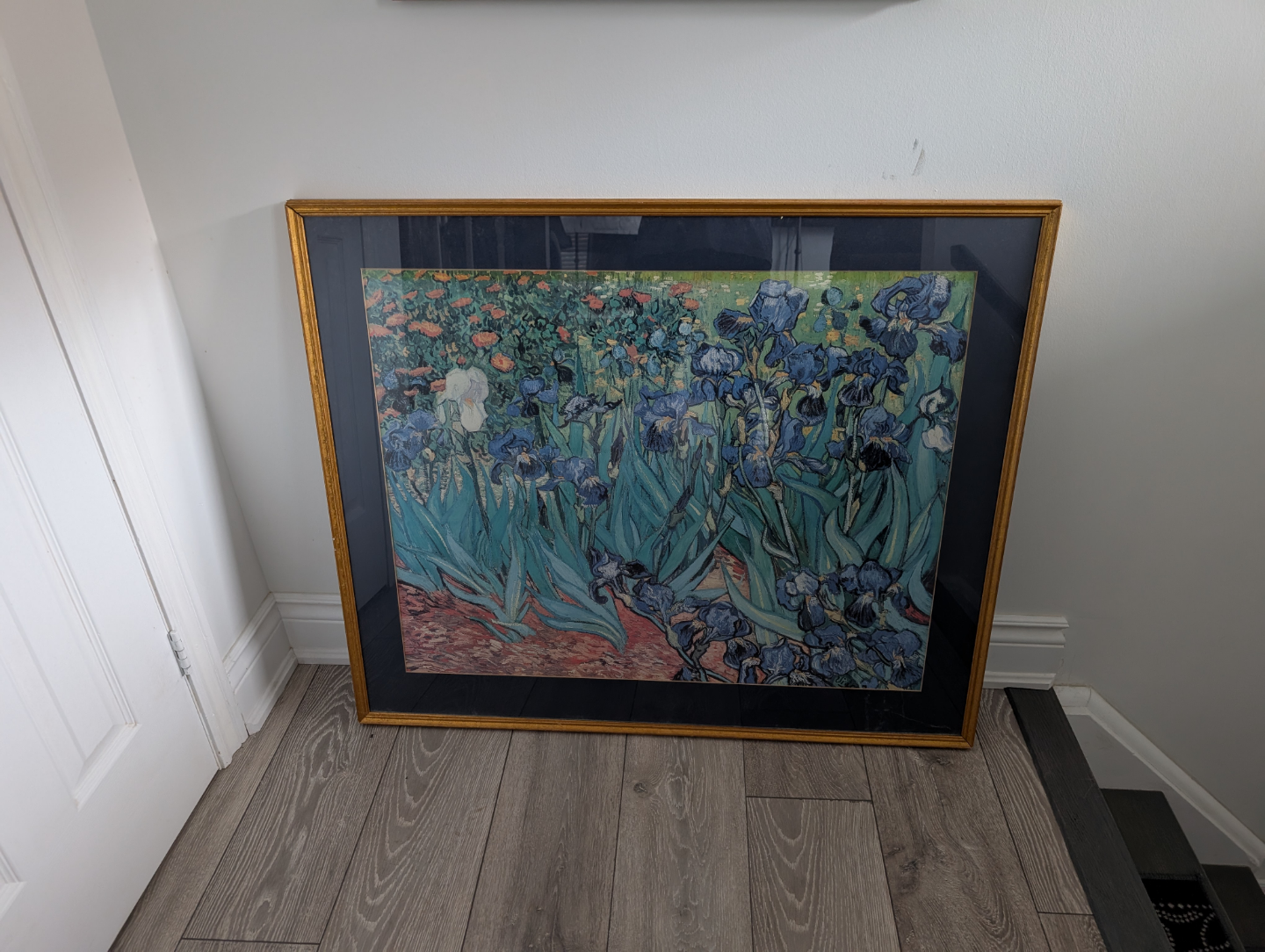 Framed Irises Print - Gold Frame