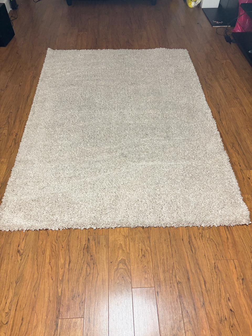 Beige Shag Rug