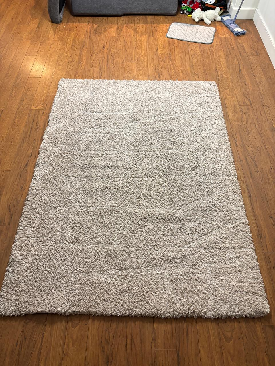 Beige Shag Rug - photo 3