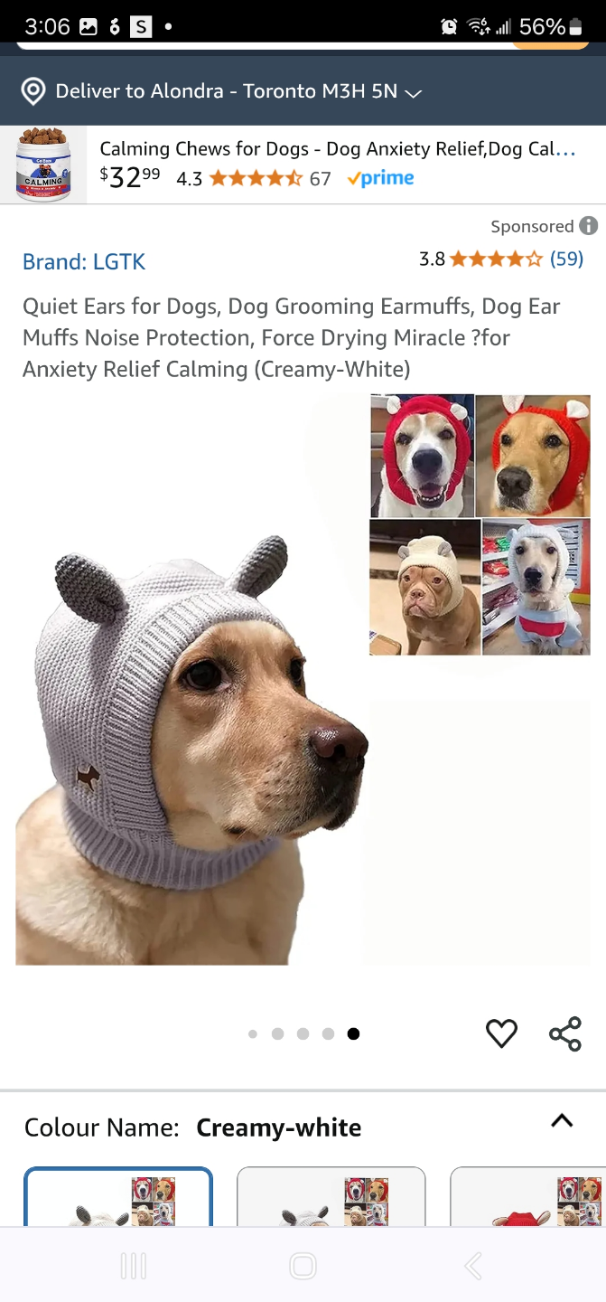 Creamy-White Knit Dog Hat with Ears - photo 5