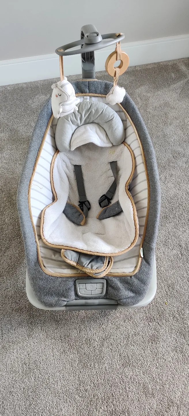 Ingenuity Baby Swing image indicator(2)