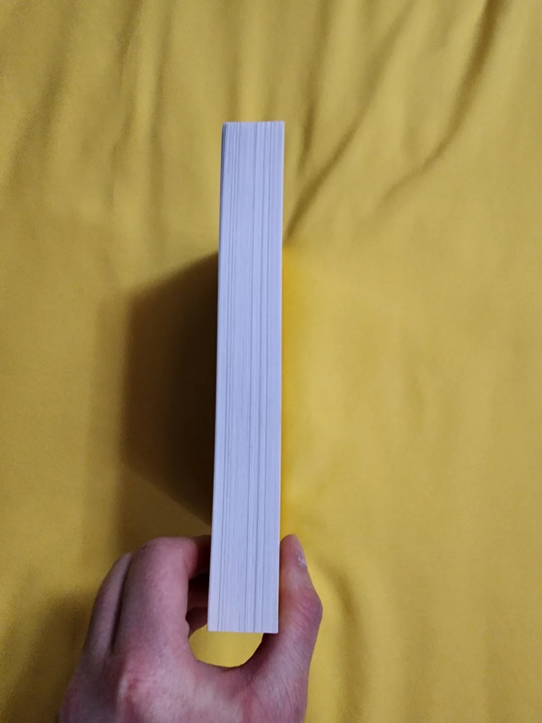 🧡 1 Page At A Time: A Daily Creative Companion 🧡 image indicator(3)