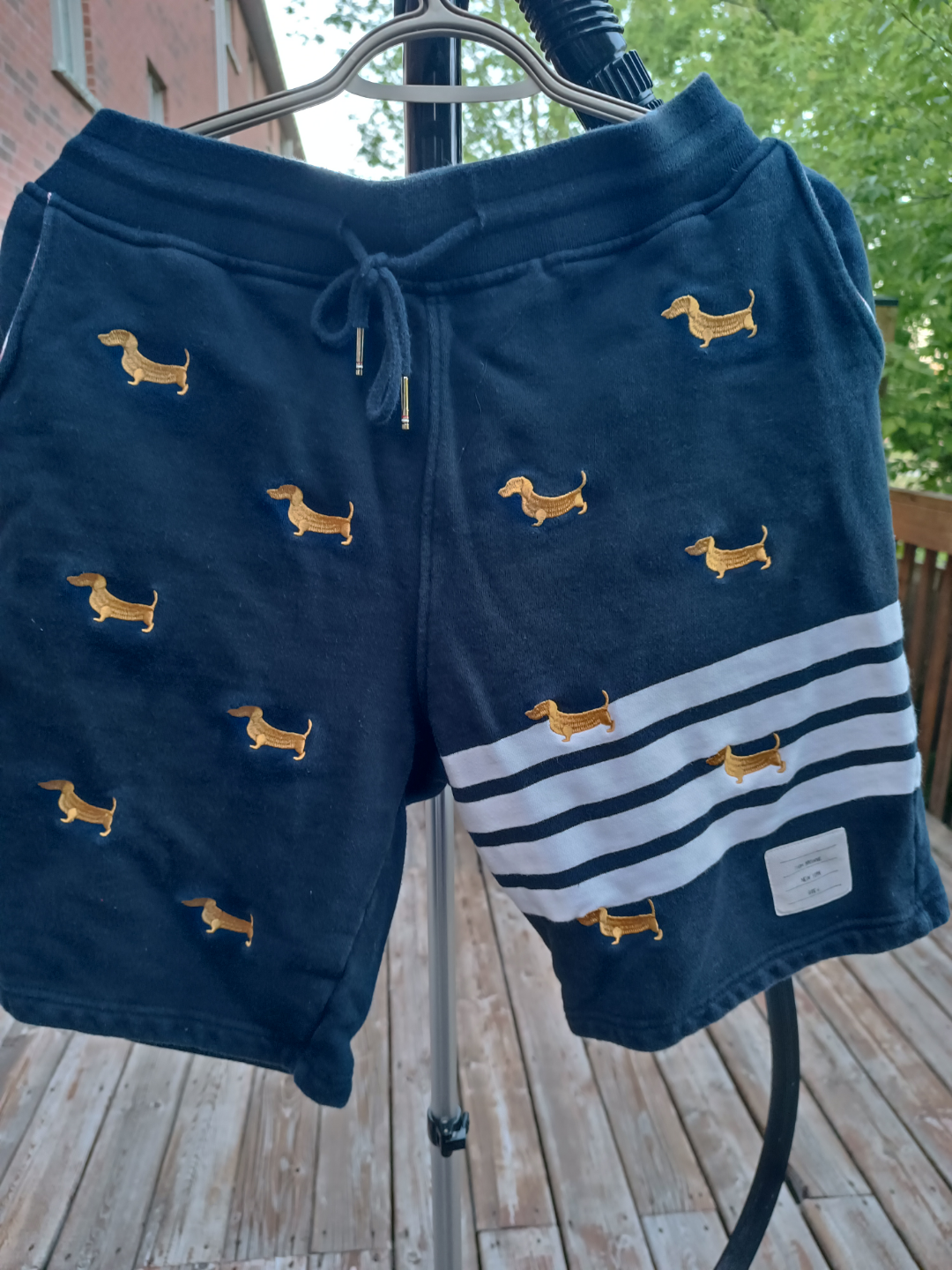 Dachshund Print Shorts