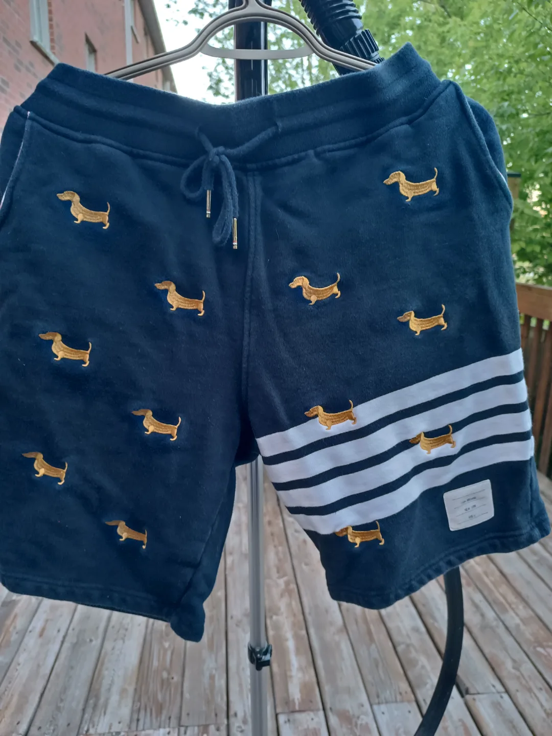 Dachshund Print Shorts thumbnail