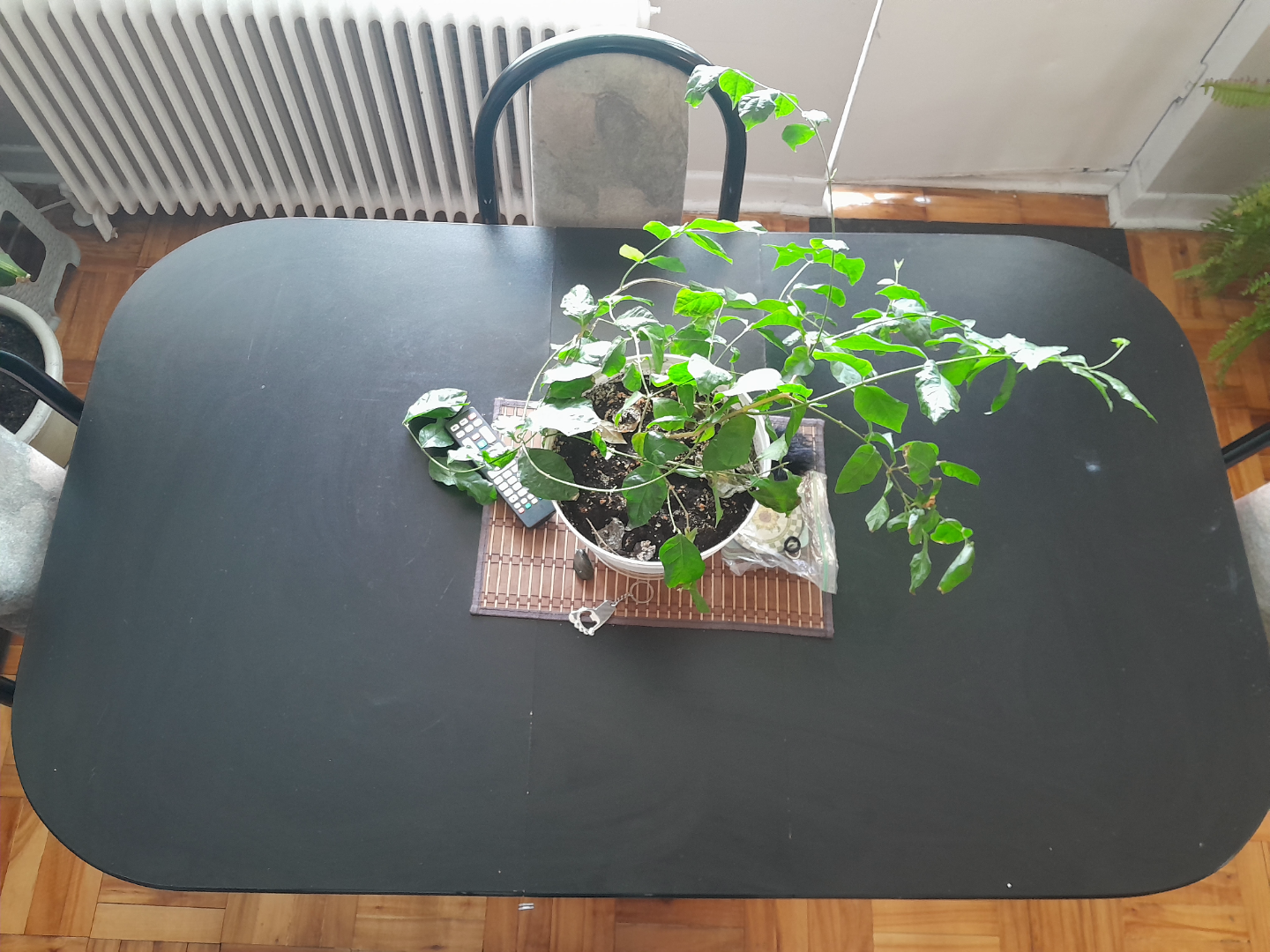 Dining table set - 4 chairs - photo 4