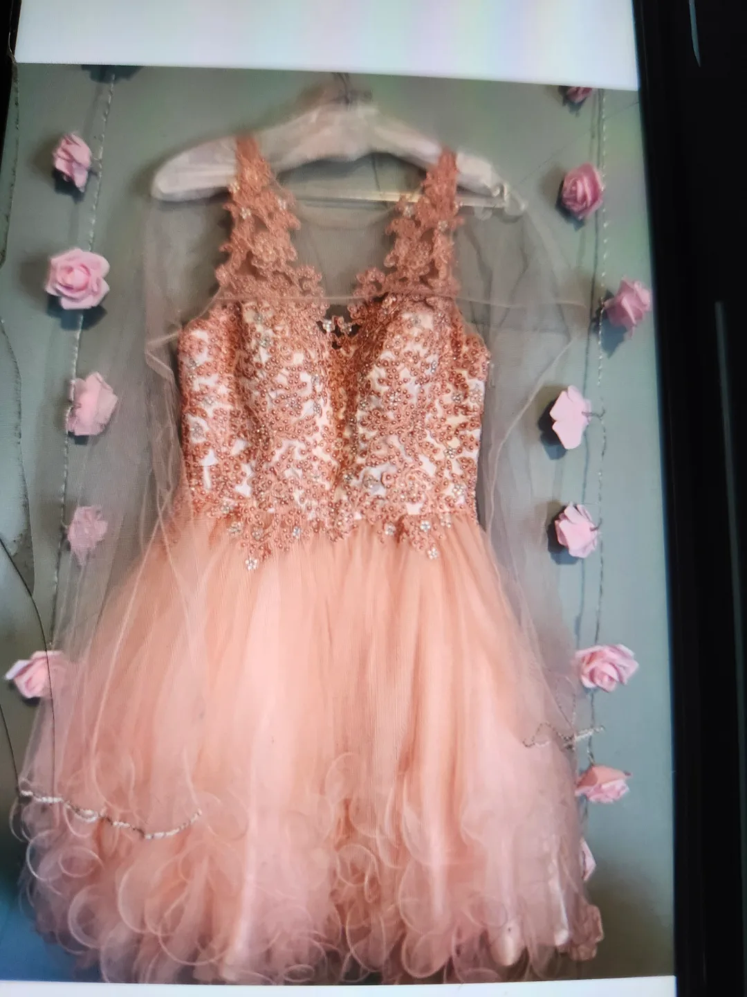 Peach Quinceañera Dress Size 6 image indicator(6)