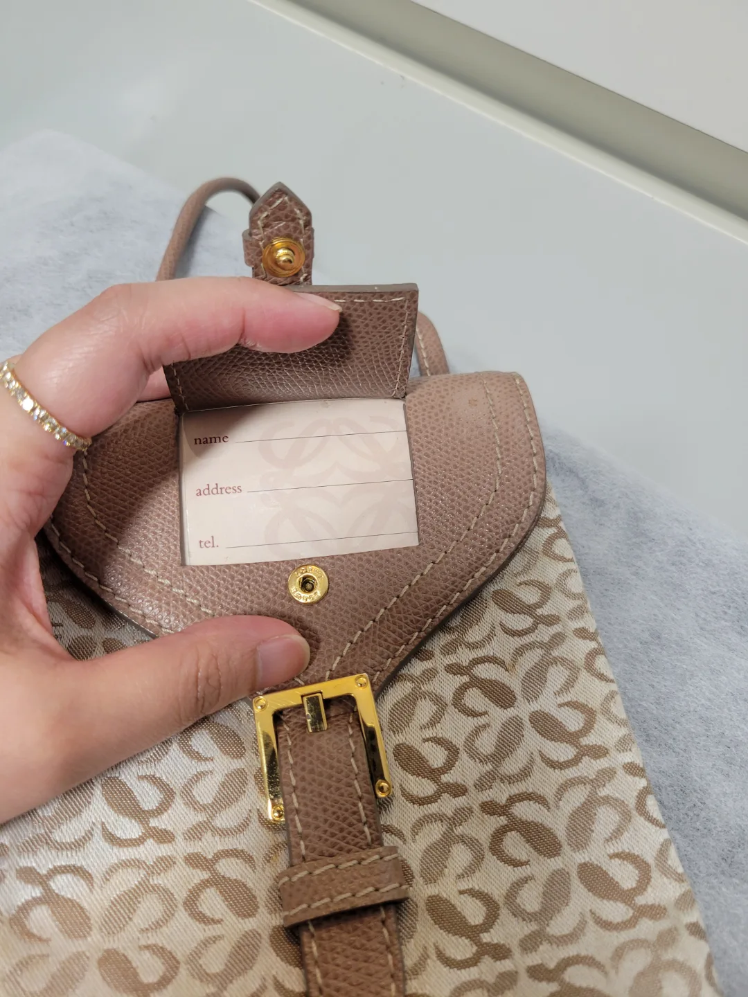 Loewe Mini Beige & Brown Crossbody Bag image indicator(6)