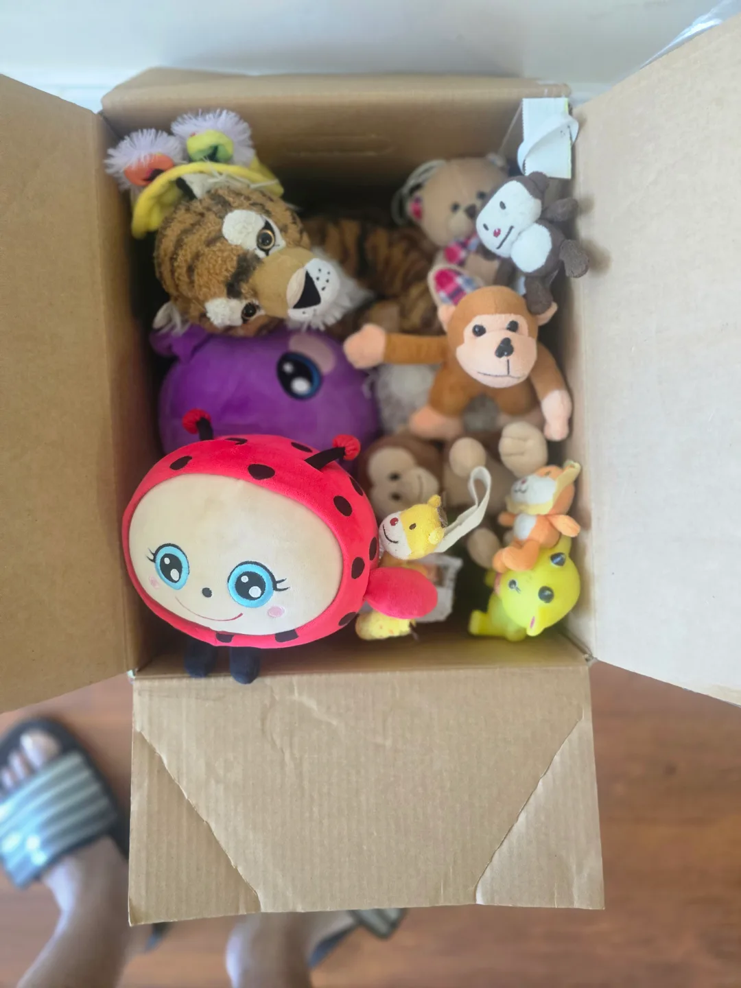 #freecycle Box of Assorted Plush Toys thumbnail