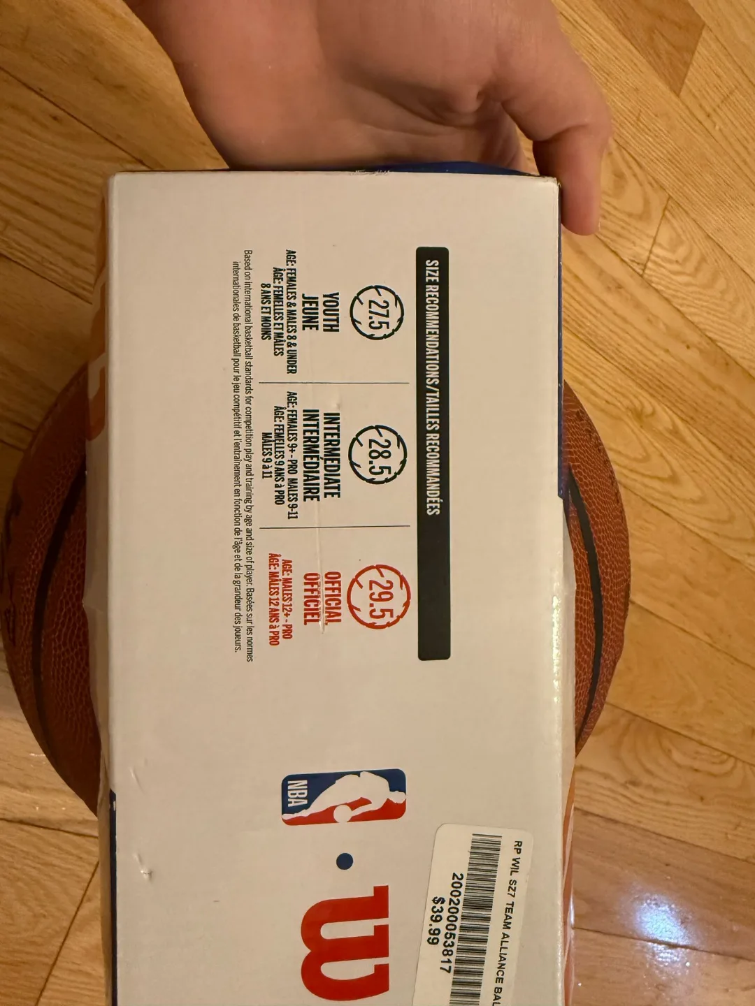 Wilson NBA Toronto basketball image indicator(2)