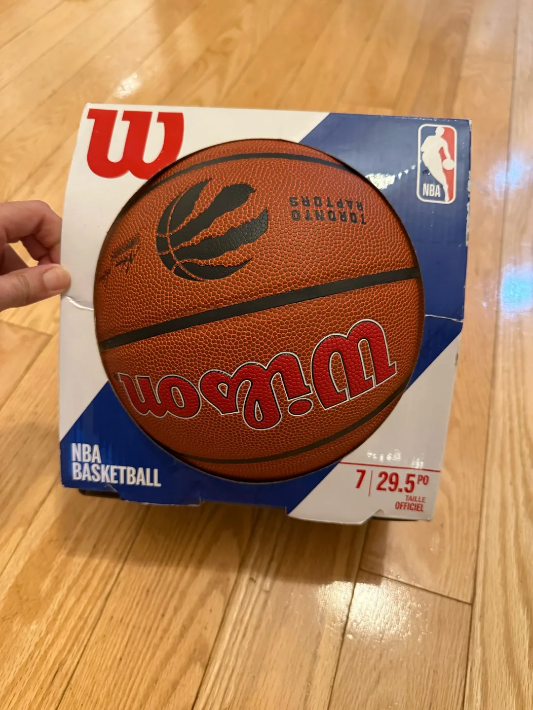 Wilson NBA Toronto basketball image indicator(3)