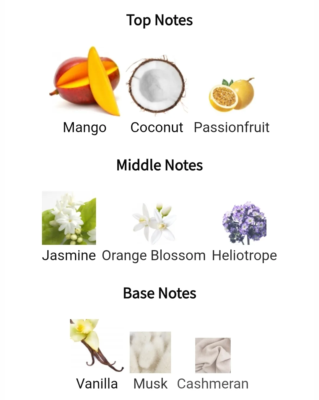 Lattafa Yara Tous Eau de Parfum image indicator(2)