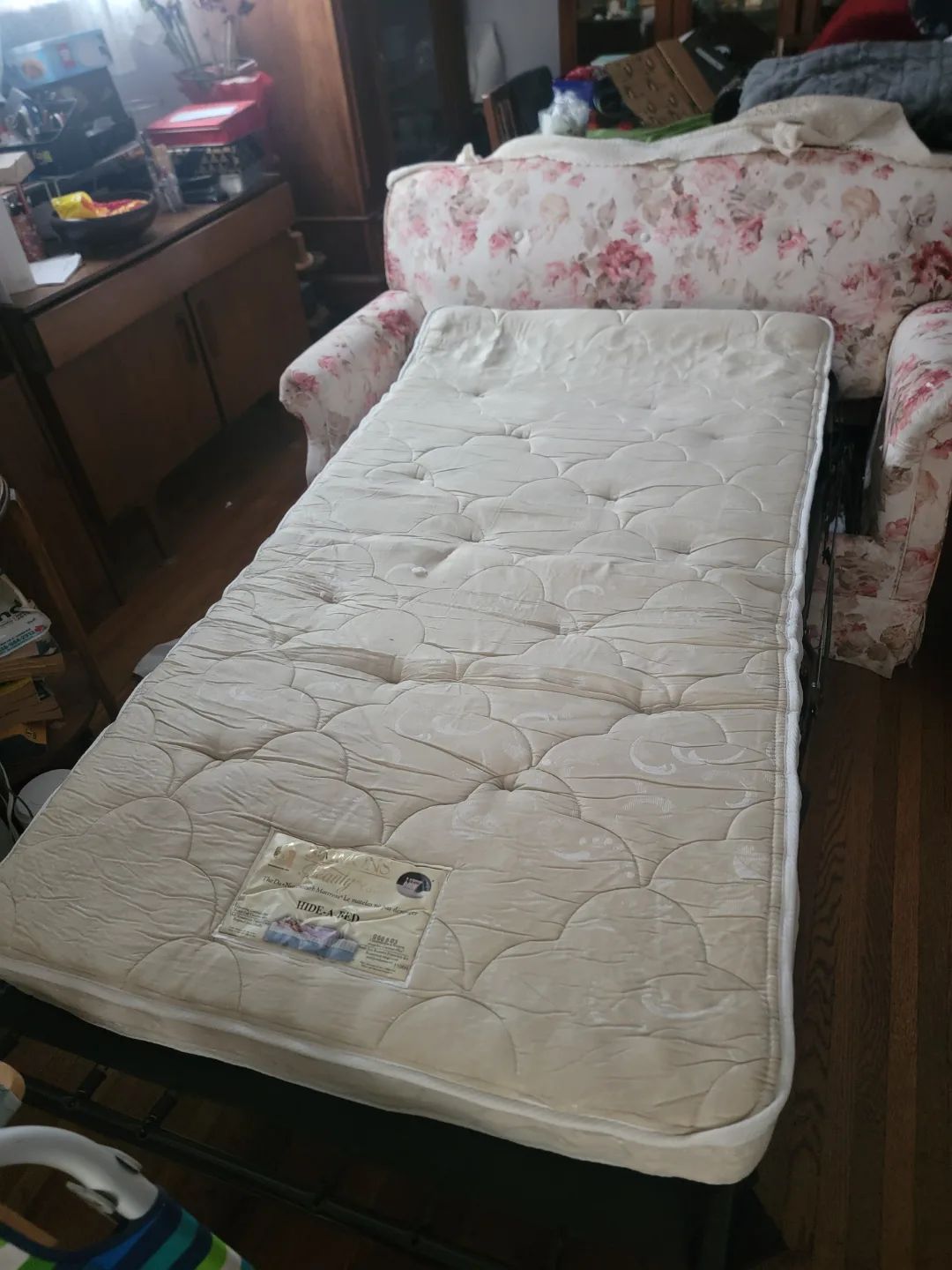 Vintage Floral Hide-A-Bed Sofa image indicator(6)