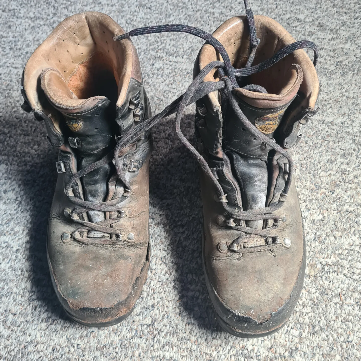 #freecycle Free Well-Used Meindl Hiking Boots thumbnail