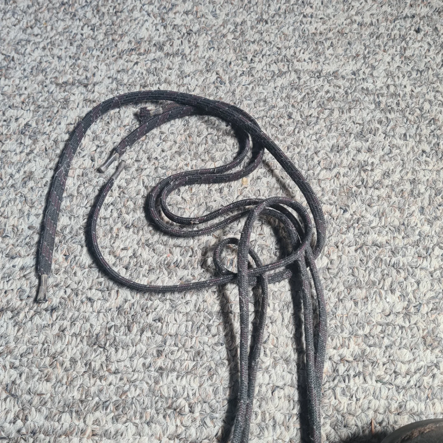 #freecycle Free Well-Used Meindl Hiking Boots image indicator(7)