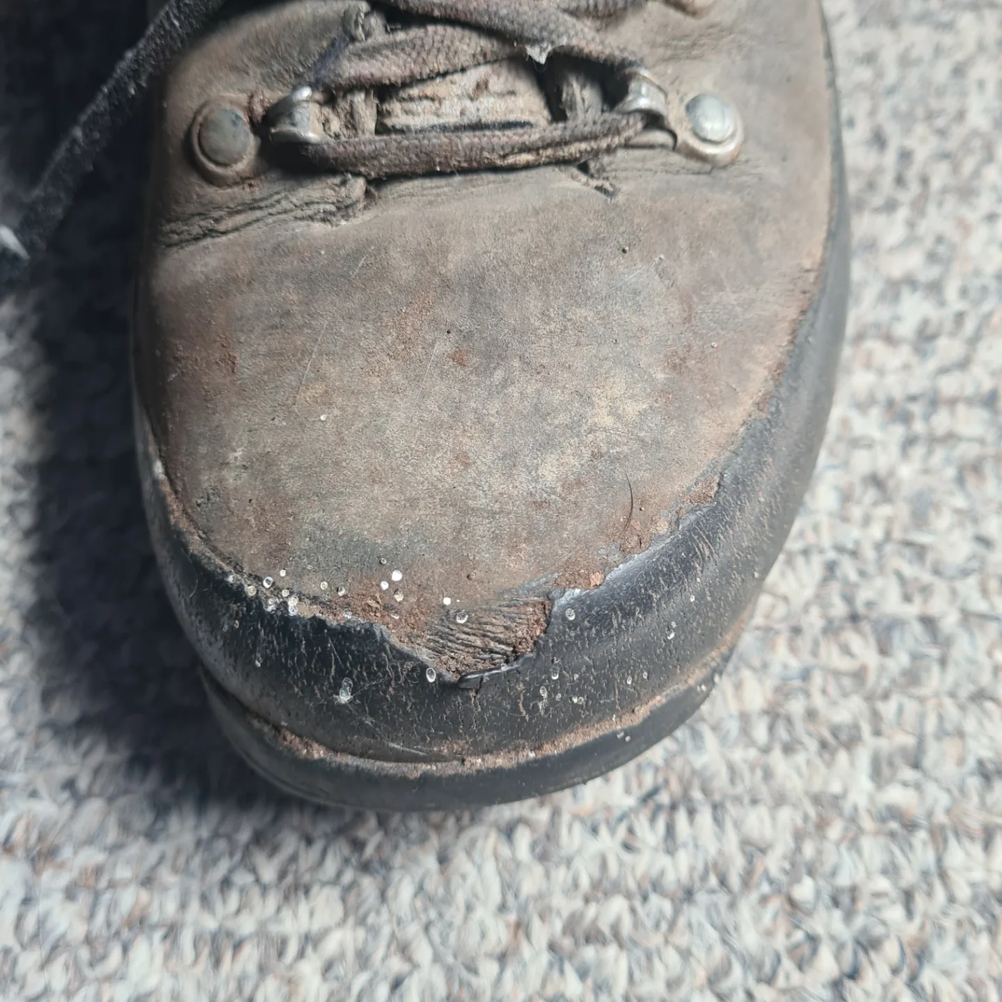 #freecycle Free Well-Used Meindl Hiking Boots image indicator(8)