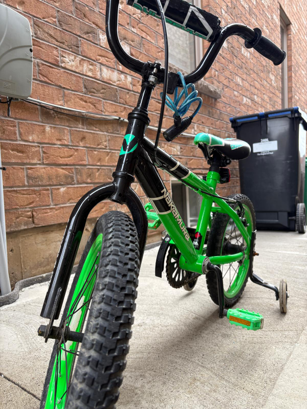 NexGen 16" Kids Bike with Training Wheels - photo 2