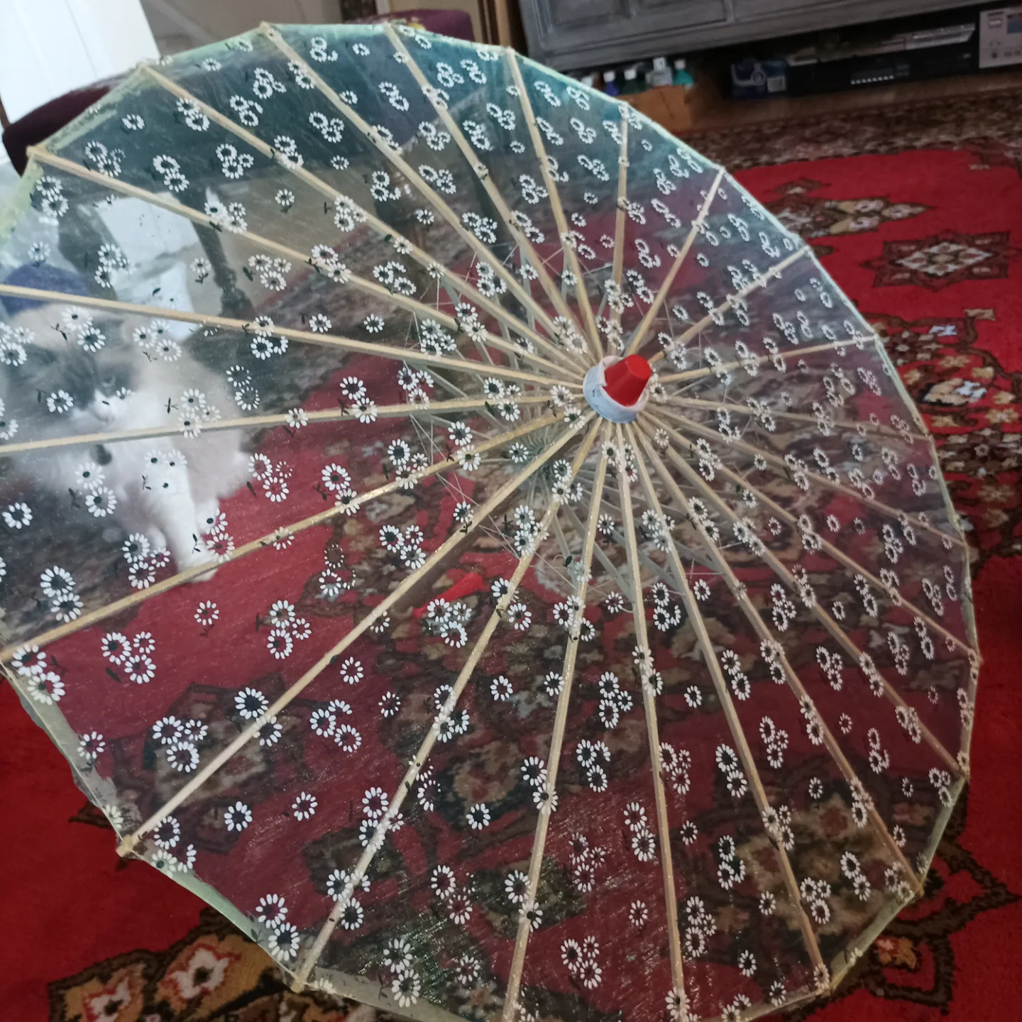 Chinese Japanese ambrellal with Floral Design image indicator(4)