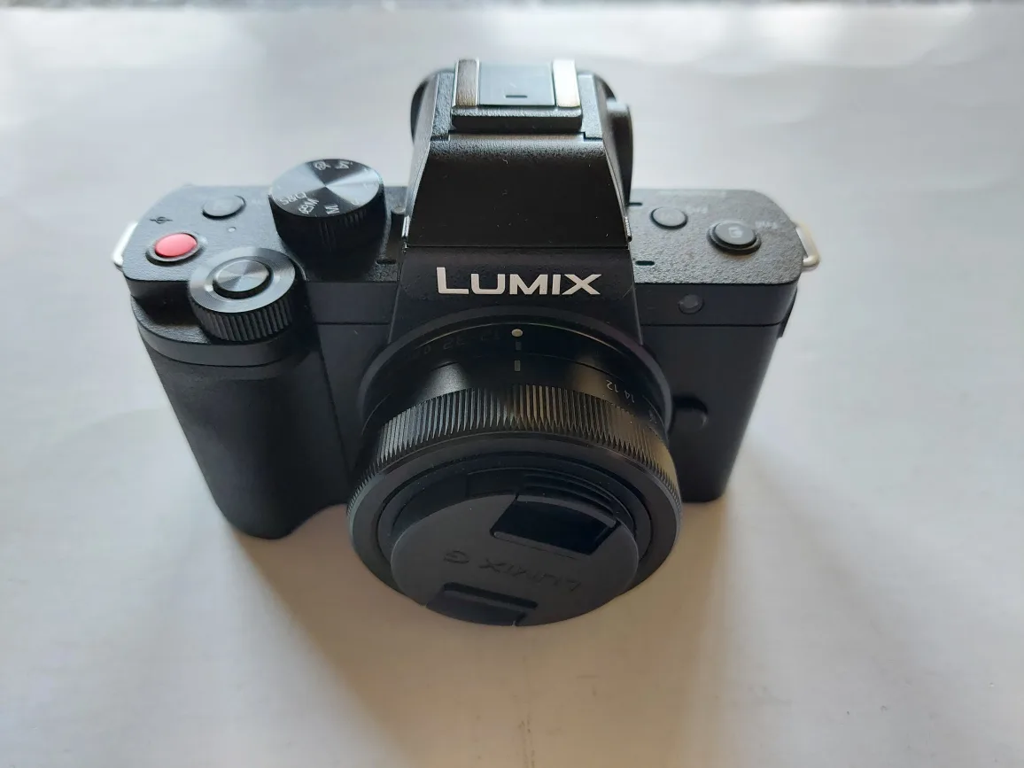 Panasonic Lumix G100 Mirrorless Camera image indicator(10)