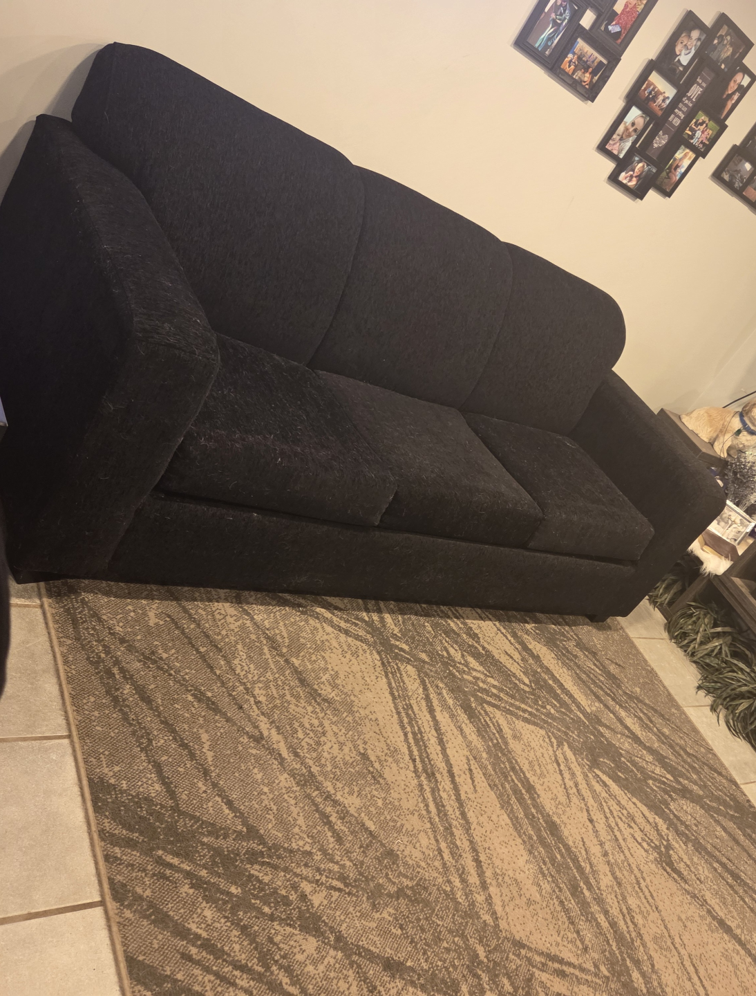 Black Sofa Bed pull out bed
