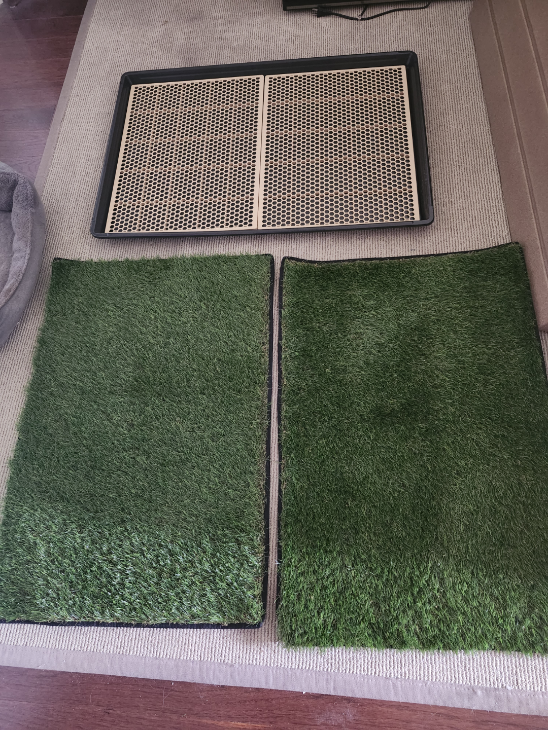Indoor Pet Potty Training System