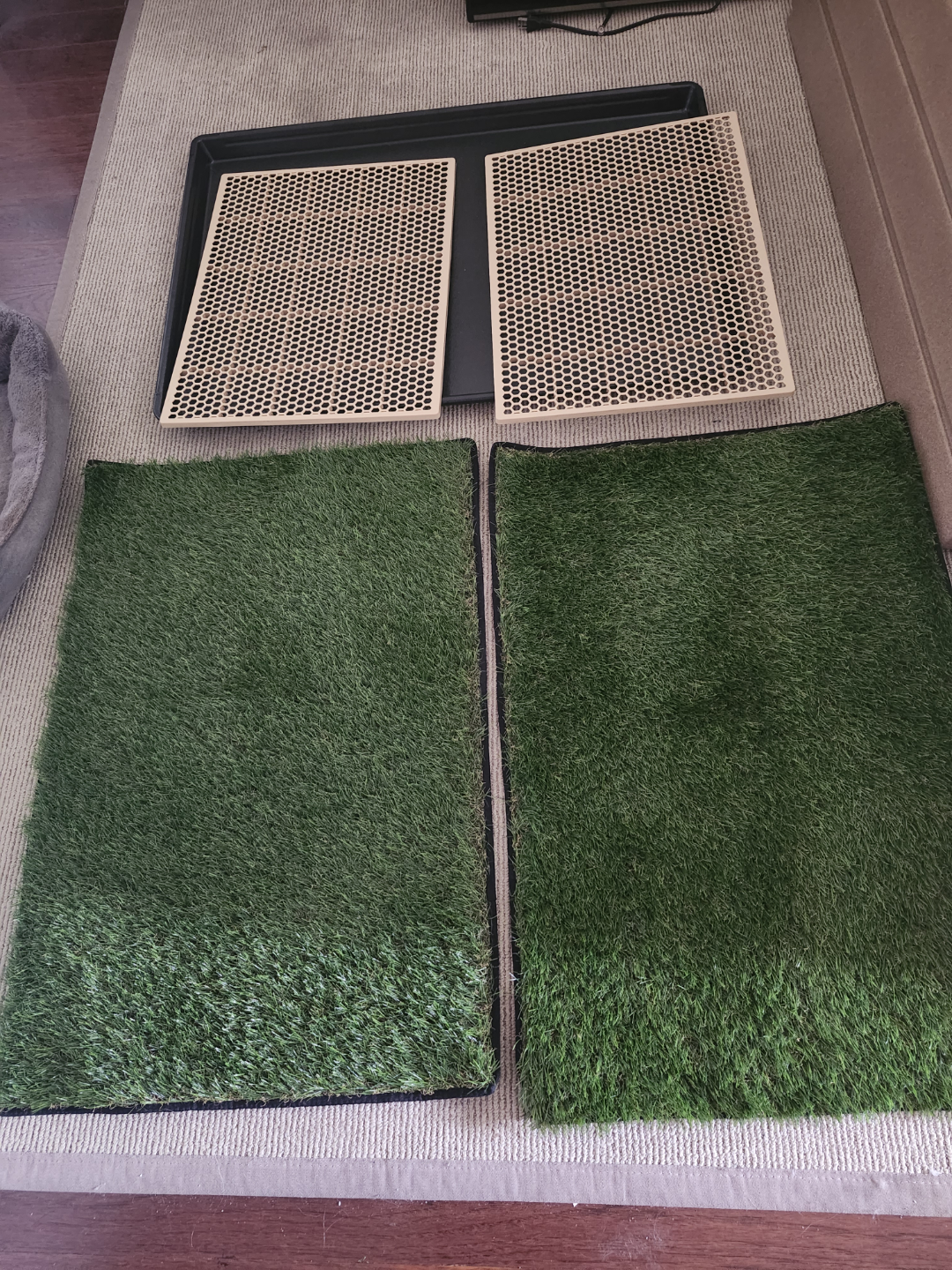 Indoor Pet Potty Training System - photo 2