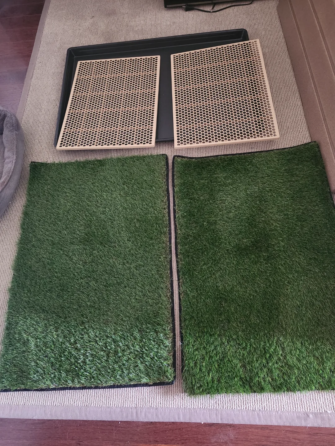 Indoor Pet Potty Training System image indicator(2)