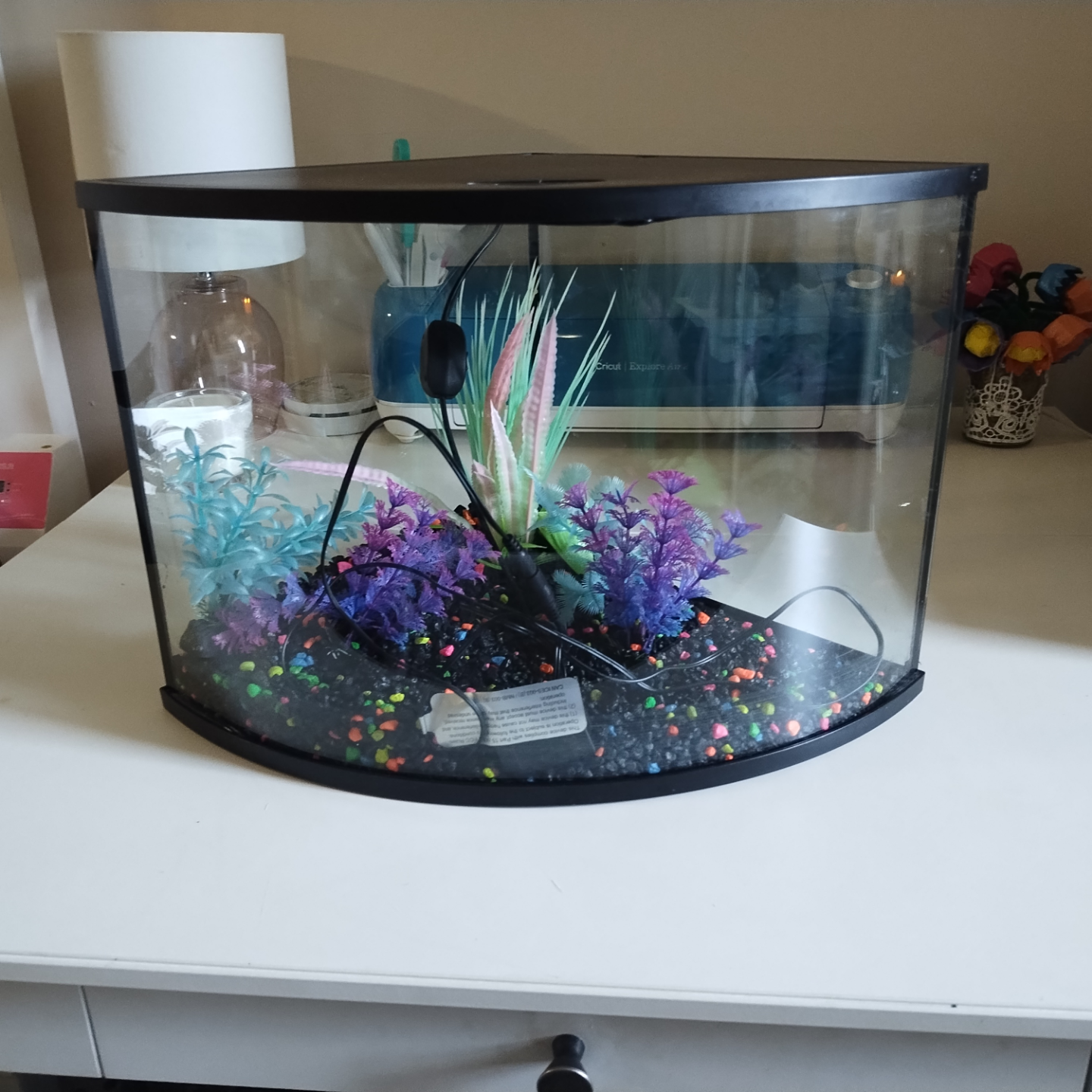 Top Fin Corner Aquarium & everything needed to start