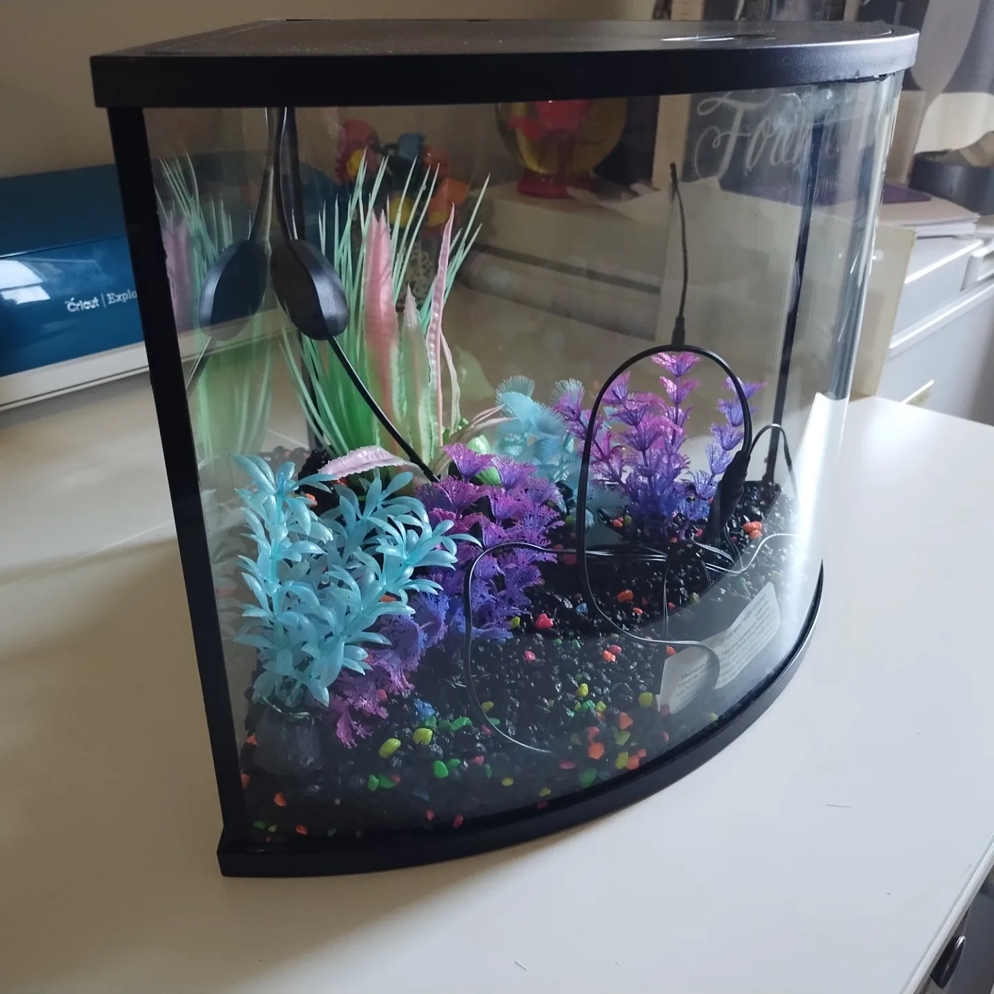 Top Fin Corner Aquarium & everything needed to start image indicator(2)