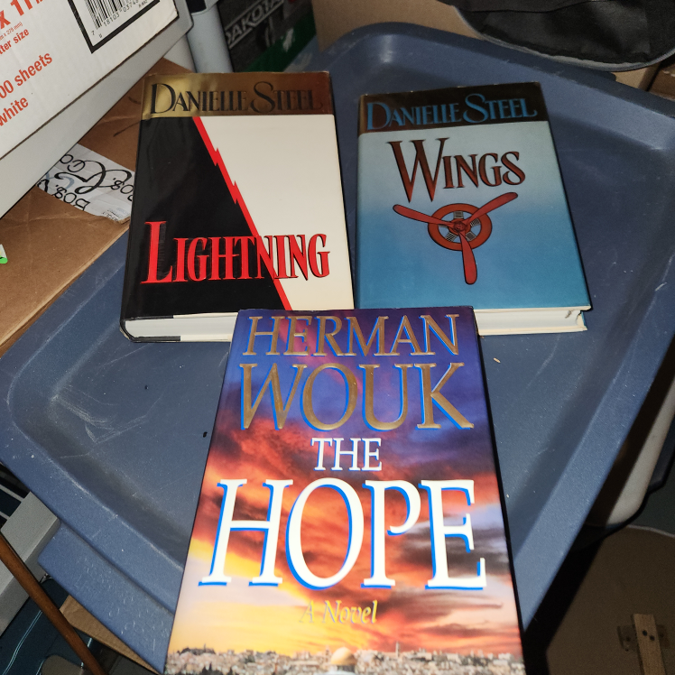Three Paperback Novels: Lightning, Wings, and The Hope